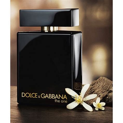 dolce gabbana the one vs dior homme parfum